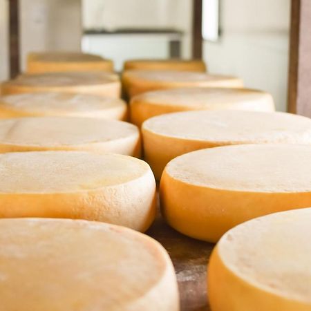 Bubble Pingo Do Mula Serra Da Canastra São Roque de Minas Zewnętrze zdjęcie