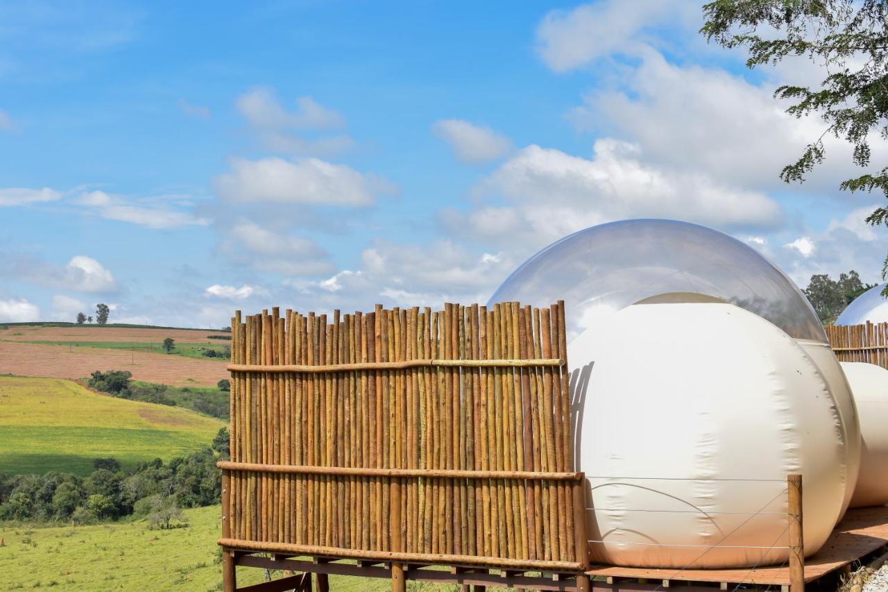 Bubble Pingo Do Mula Serra Da Canastra São Roque de Minas Zewnętrze zdjęcie
