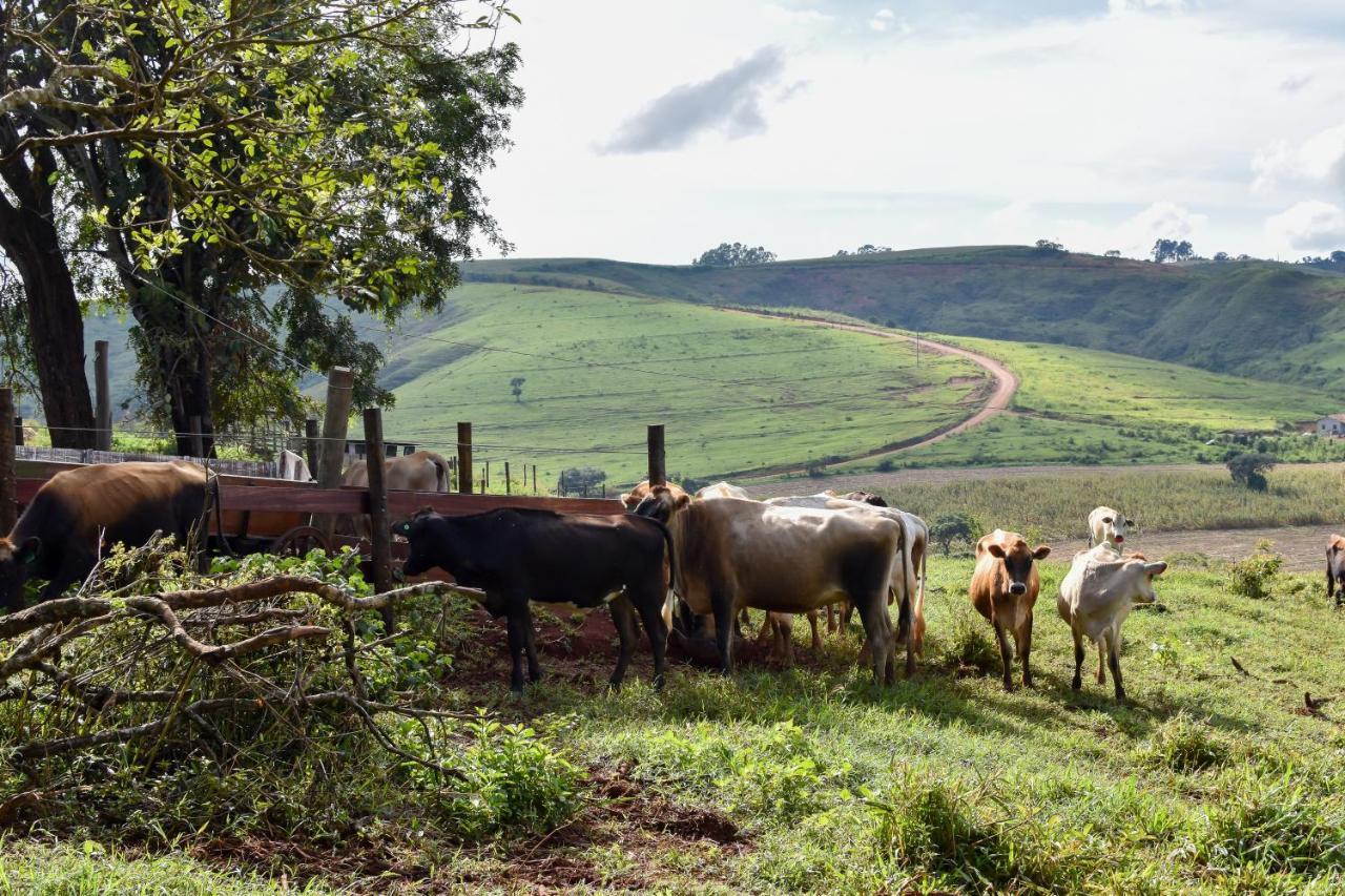 Bubble Pingo Do Mula Serra Da Canastra São Roque de Minas Zewnętrze zdjęcie